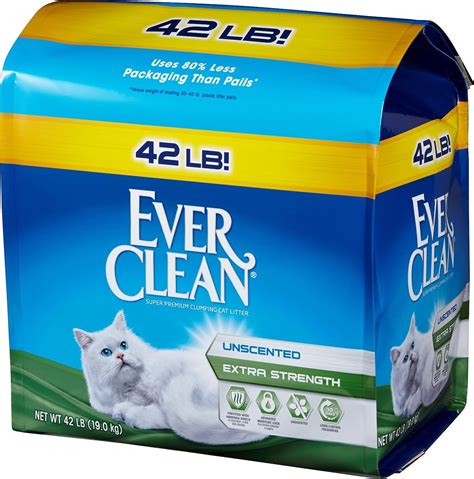 best odor control cat litter